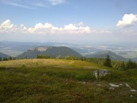 /album/ostatne/kozol-a-cipcie-jpg/